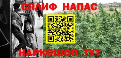 стафф Волгодонск