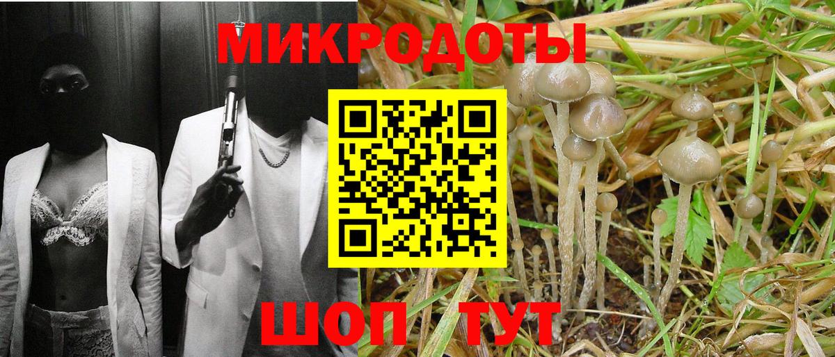 Галлюциногенные грибы Cubensis  Вход с VPN  цена   Галлюциногенные грибы MAGIC MUSHROOMS  Новошахтинск 
